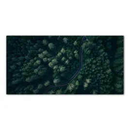 obraz-na-szkle-foto-droga-wiejska-drzewa-100x50