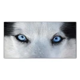 obraz-szklany-foto-obraz-husky-oczy-pies-100x50