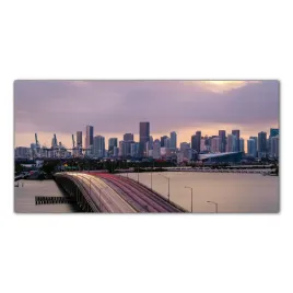 obraz-szklany-foto-obraz-miami-miasto-usa-100x50