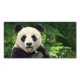 obraz-szklany-foto-obraz-chiny-wielka-panda-100x50