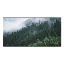 obraz-na-szkle-foto-mgla-gory-las-natura-100x50