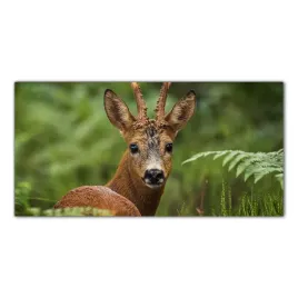 hartowany-obraz-szklany-jelen-las-zwierze-100x50