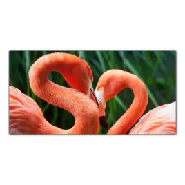 obraz-na-szkle-foto-flamingi-ptak-zwierzeta-100x50
