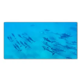 obraz-na-szkle-foto-delfiny-ocean-zwierzeta-100x50