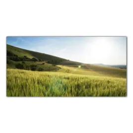 obraz-na-szkle-foto-pole-pszenicy-slonce-100x50