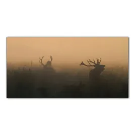 obraz-szklany-foto-obraz-jelenie-zwierzeta-100x50
