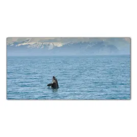 obraz-na-szkle-foto-ocean-wieloryb-morze-100x50