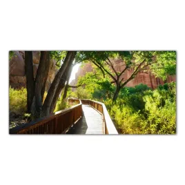 obraz-szklany-foto-obraz-park-narodowy-rafa-100x50