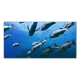 hartowany-obraz-szklany-ocean-natura-ryby-100x50