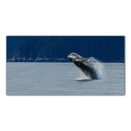 obraz-na-szkle-foto-wieloryb-ocean-zatoka-100x50