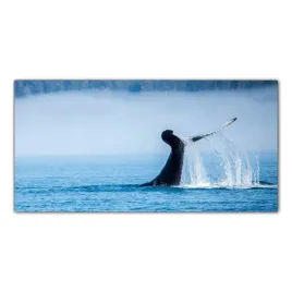 obraz-szklany-foto-obraz-wieloryb-alaska-100x50