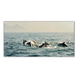 obraz-na-szkle-foto-delfiny-ocean-zwierze-100x50