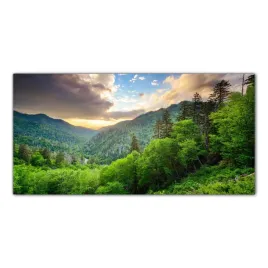 obraz-szklany-foto-obraz-gory-mgla-natura-100x50