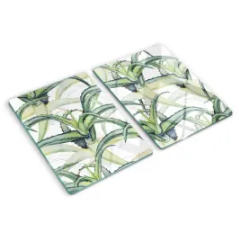 szklana-plyta-do-kuchni-aloes-kwiaty-rosliny