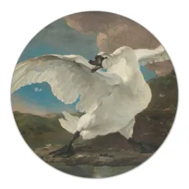 deski-z-nadrukiem-kuchenna-malarstwo-labedz-fi40