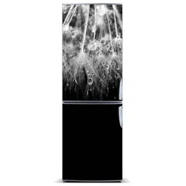 naklejka-magnes-magnes-nasiona-dmuchawca-60x180