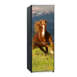 naklejka-na-lodowke-dekor-60x180-kon-grzywa-galop