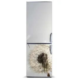 naklejka-magnetyczna-magnes-dmuchawiec-60x180