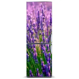 mata-magnetyczna-na-lodowke-pole-lawendy-60x180