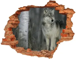 naklejka-ozdoba-fototapeta-120x93-cm-szary-wilk