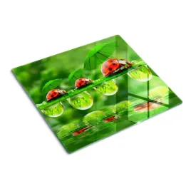 szklana-deska-do-krojenia-biedronki-parasole-60x52