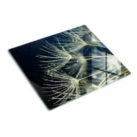 panel-szklany-na-indukcje-nasiona-dmuchawca-60x52