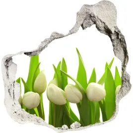 samoprzylepna-naklejka-na-sciane-biale-tulipany