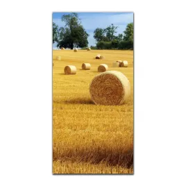 foto-obraz-scienny-grafika-50x100-drzewa-rosliny