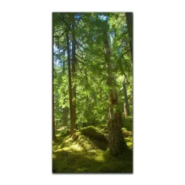 obraz-na-szkle-na-sciane-50x100-las-drzewa-zielen