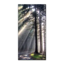 obrazy-szklane-do-kuchni-50x100-las-szlak-slonce