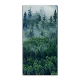 foto-obraz-scienny-grafika-50x100-mgla-krajobraz
