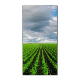 foto-szklane-do-kuchni-50x100-zielone-pola-natura