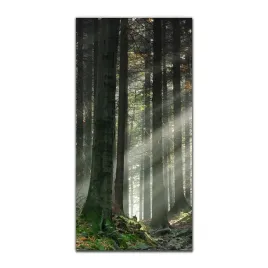 obraz-na-szkle-nowoczesny-50x100-las-mgla-natura