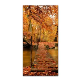 foto-obraz-na-szkle-do-kuchni-50x100-jesien-drzewa