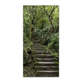 foto-obraz-na-szkle-nowoczesny-50x100-przyroda-las