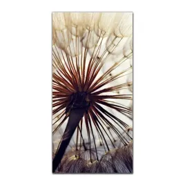 obraz-szklany-grafika-50x100-natura-kwiat-mniszek