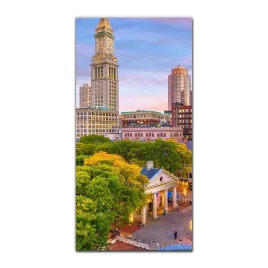 foto-szklane-do-kuchni-50x100-cm-boston-usa-drzewa