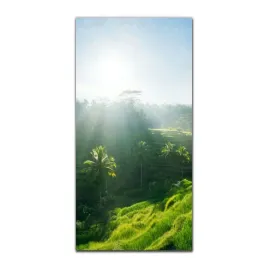 obrazy-szklane-do-kuchni-50x100-cm-bali-przyroda
