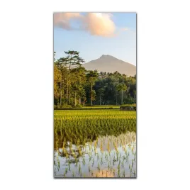 foto-szklane-do-sypialni-50x100-cm-przyroda-drzewa