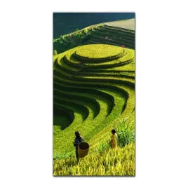 foto-obraz-na-szkle-do-kuchni-50x100-wietnam-pola