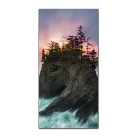 foto-szklane-na-sciane-50x100-morskie-fale-drzewa