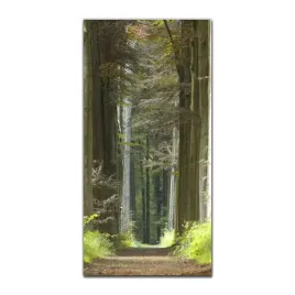 foto-obraz-na-szkle-na-sciane-50x100-lesny-szlak