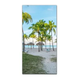 foto-obraz-na-szkle-nowoczesny-50x100-kuba-palmy