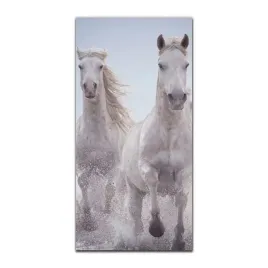 foto-obraz-na-szkle-do-kuchni-50x100-konie-galop