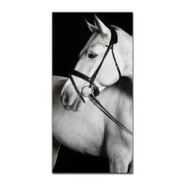 obraz-szklany-grafika-do-salonu-50x100-zwierze-kon