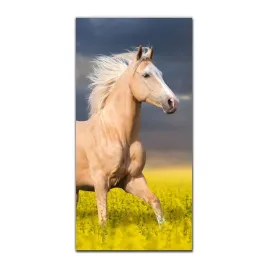foto-obraz-na-szkle-nowoczesny-50x100-kon-palomino