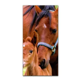 foto-obraz-na-szkle-nowoczesny-50x100-zrebie-konik