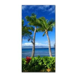 obraz-na-szkle-do-kuchni-50x100-maui-plaza-wyspa