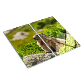 deska-do-krojenia-grafika-swistak-tatry-2x30x52