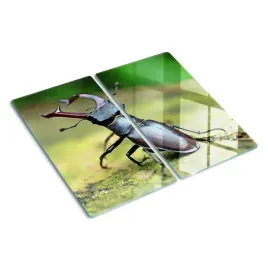 deska-do-krojenia-za-szklem-chrzaszcz-zuk-2x30x52